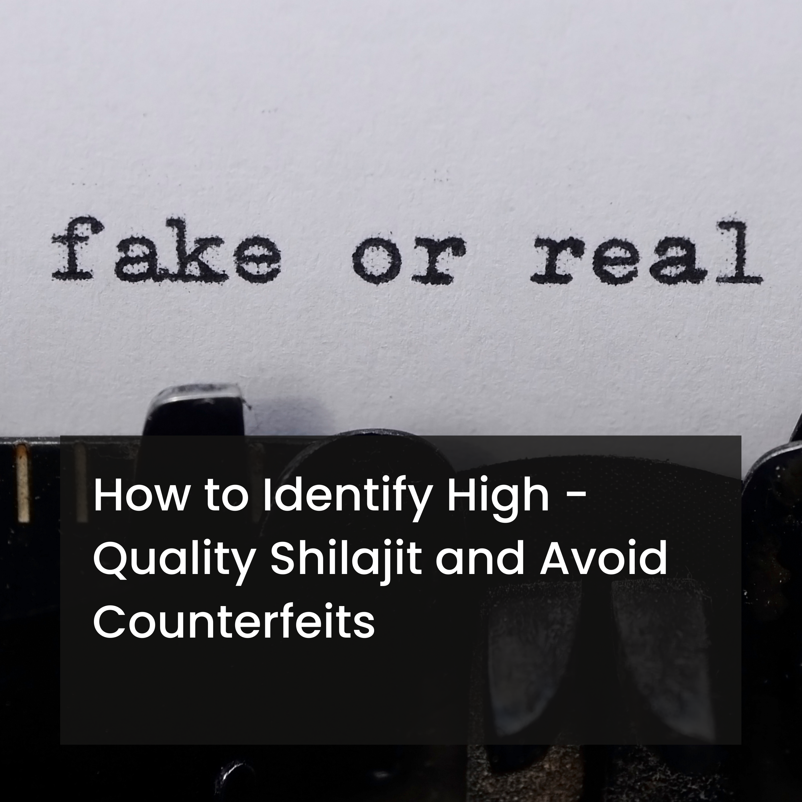 The words "fake or real" on a typewriter, representing the importance of identifying authentic, real, high-quality Shilajit and avoiding counterfeits.