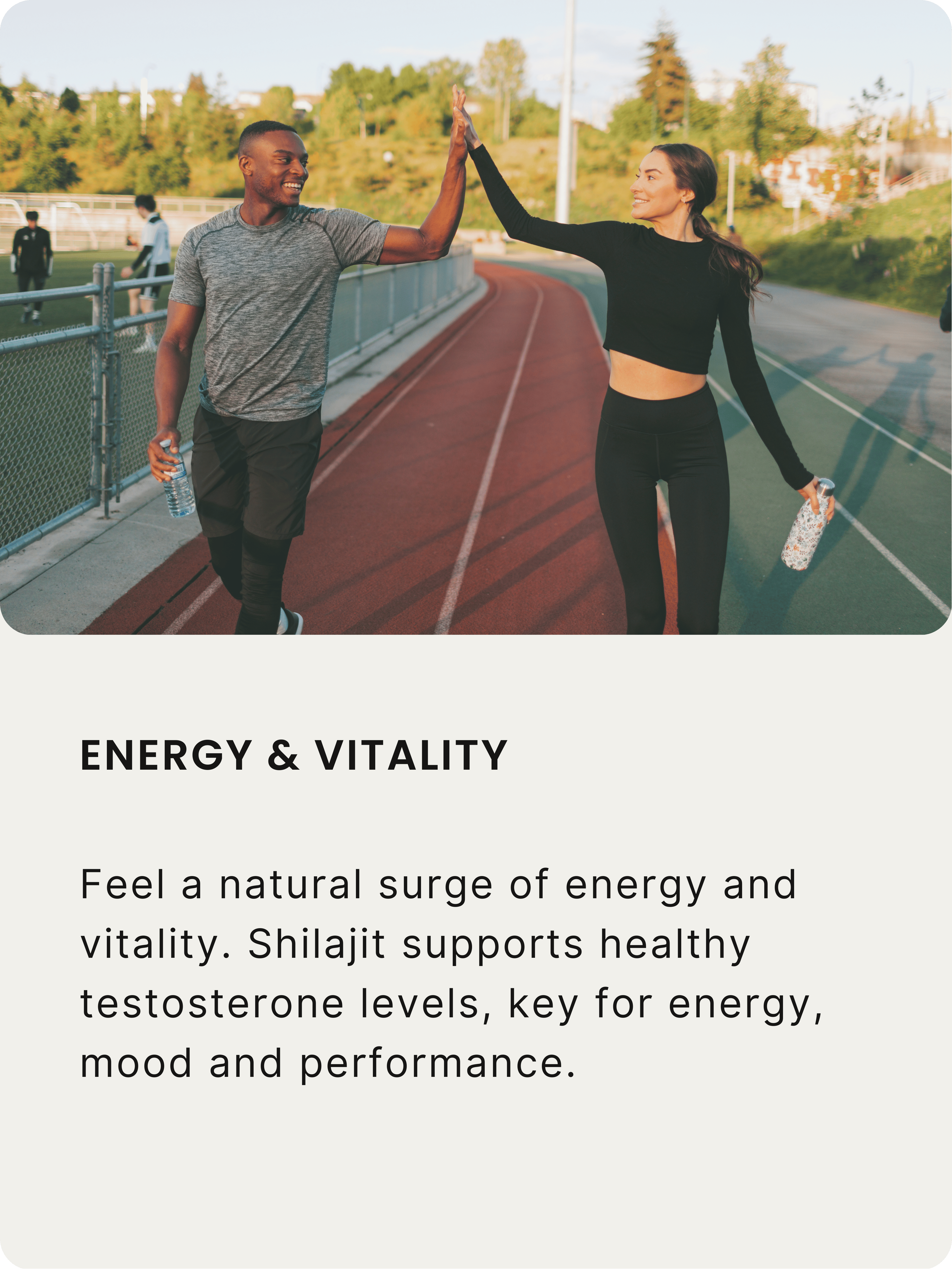 Zenbioni Himalayan Shilajit Resin - Energy & Vitality Benefit Tile. Tile image with text "Energy & Vitality" and description of benefits for energy, mood, and performance.