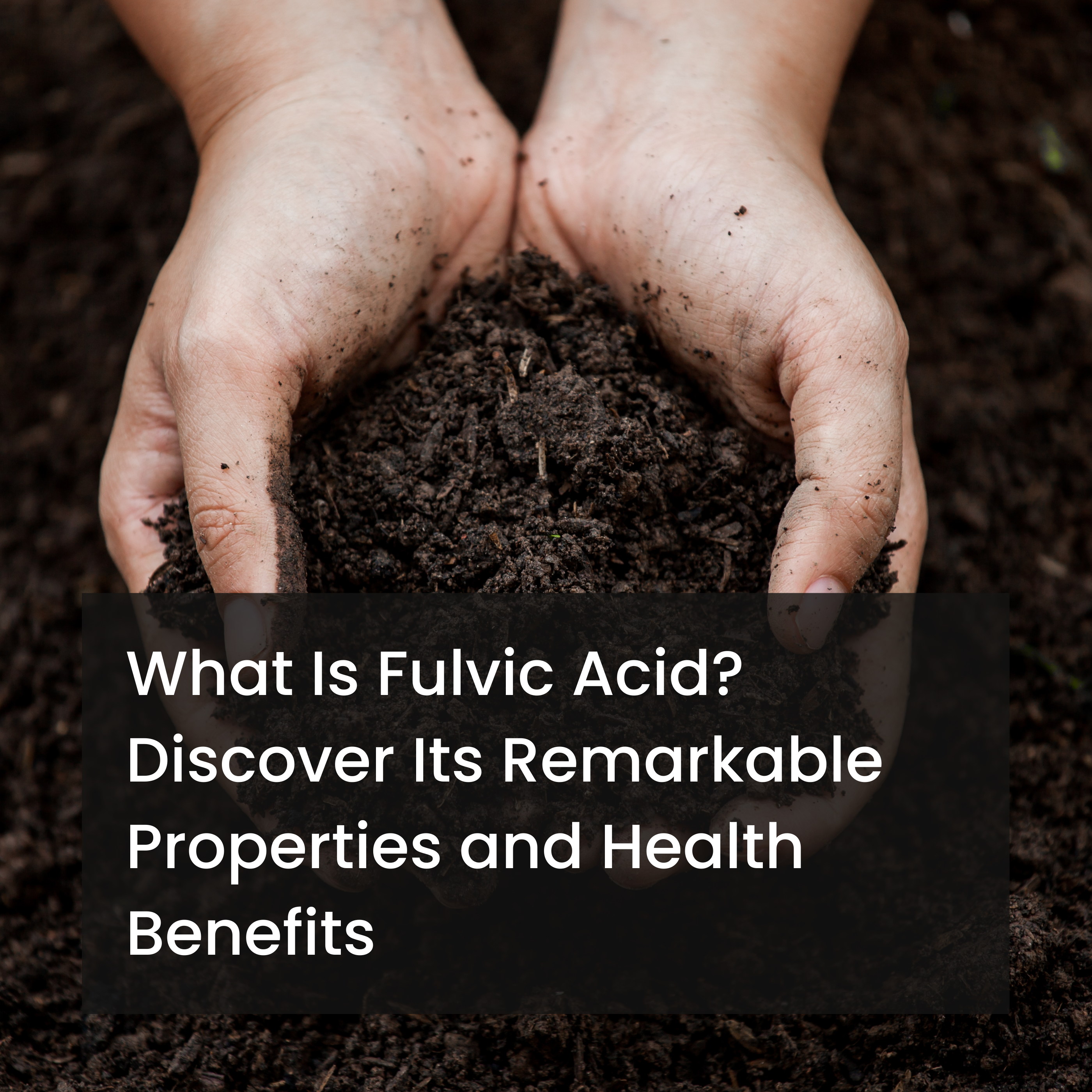 Hands gently holding rich, dark soil, symbolizing the natural origin of Fulvic Acid and its connection to health and wellness.